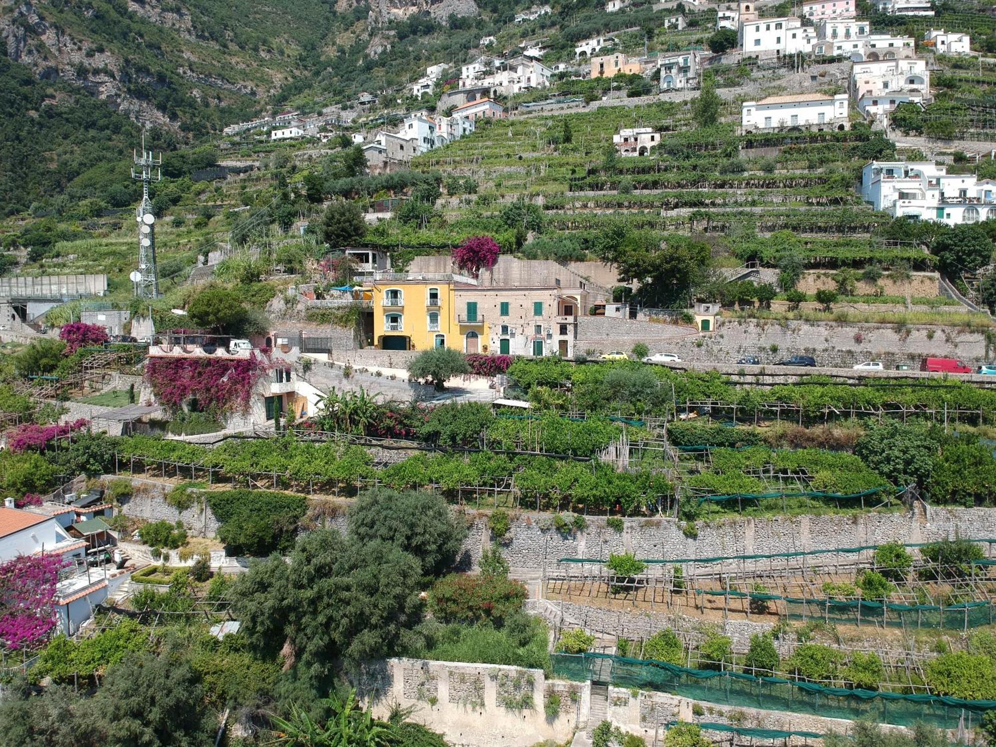 Agriturismo Fuoco D'Amalfi Villa Iazzetta Экстерьер фото