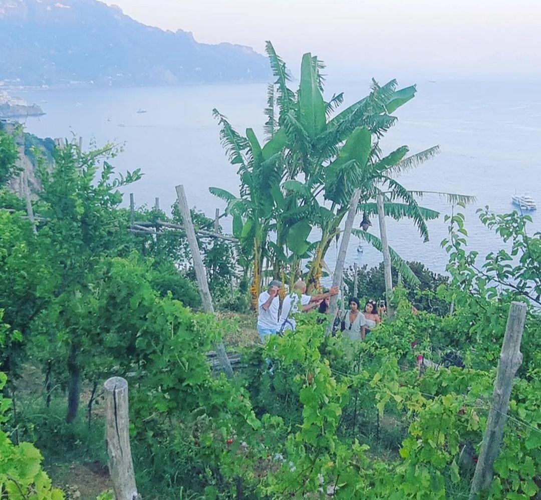 Agriturismo Fuoco D'Amalfi Villa Iazzetta Экстерьер фото